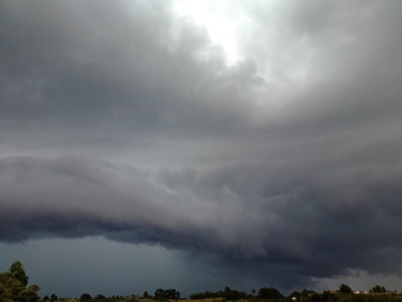 Een dag vol regen (Foto: Managarm)