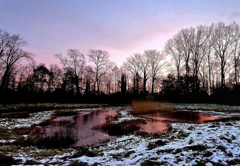 Zonsopkomst in Doetinchem (Foto: FOK.NL)