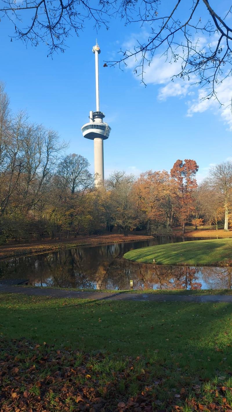 De Euromast in volle zon (Foto: qltel) De Euromast in volle zon (Foto: qltel)