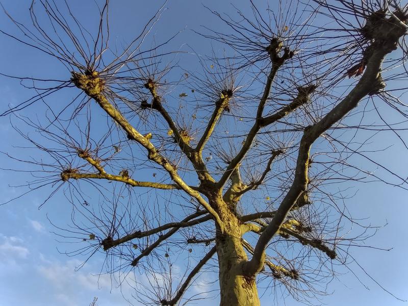 We moesten er even op wachten: blauwe lucht (Foto: Ouwesok)