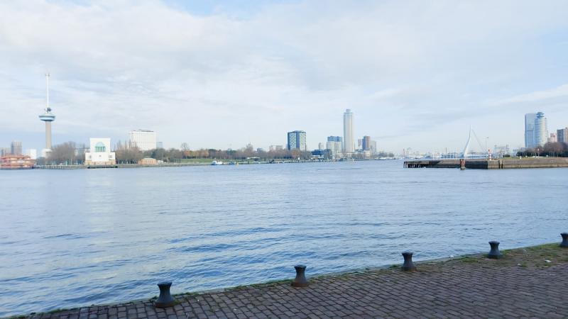Uitzicht over de Maas (Foto: qltel)