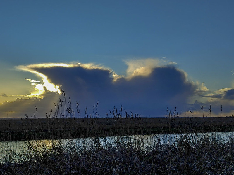 Hagelbui Almere (Foto: Ouwesok)