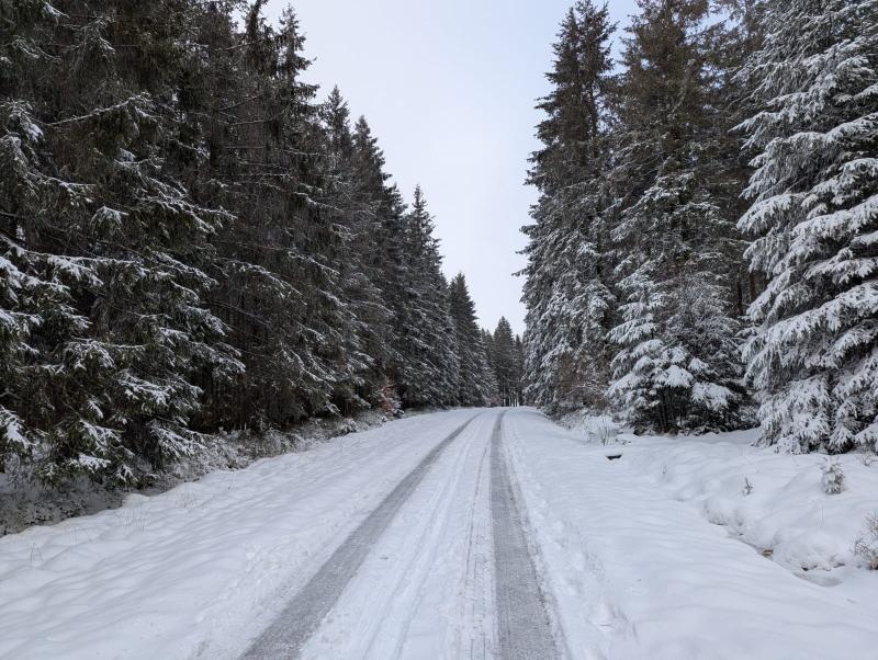 Belgische Eifel gefotografeerd door Professionele_idioot 2025