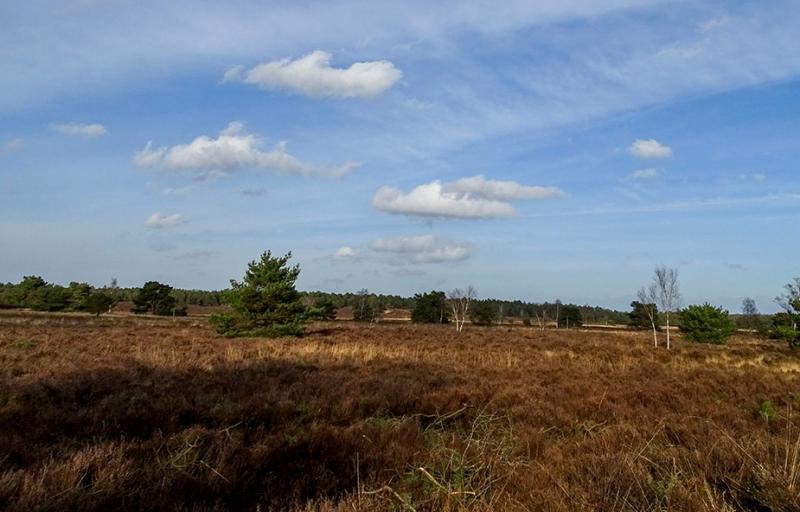 Een paar wolkjes boven de Vierhouterheide (@ Ouwesok) Een paar wolkjes boven de Vierhouterheide (@ Ouwesok)