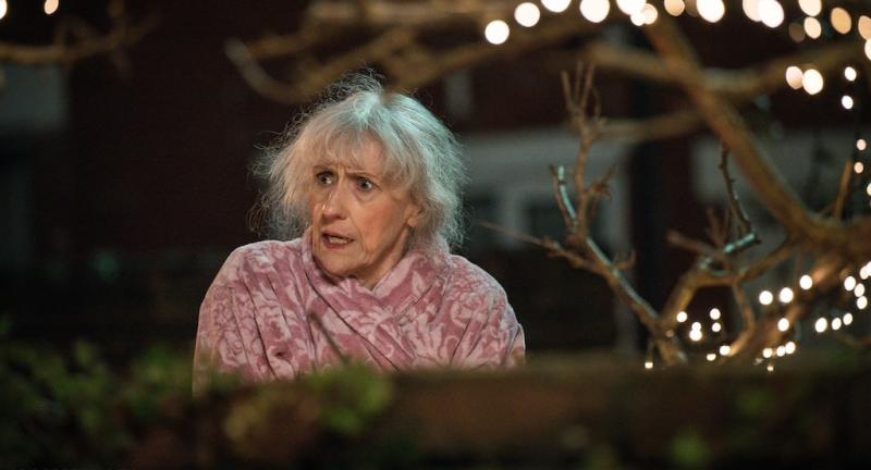Doctor Who: The Robot Revolution: Anita Dobson