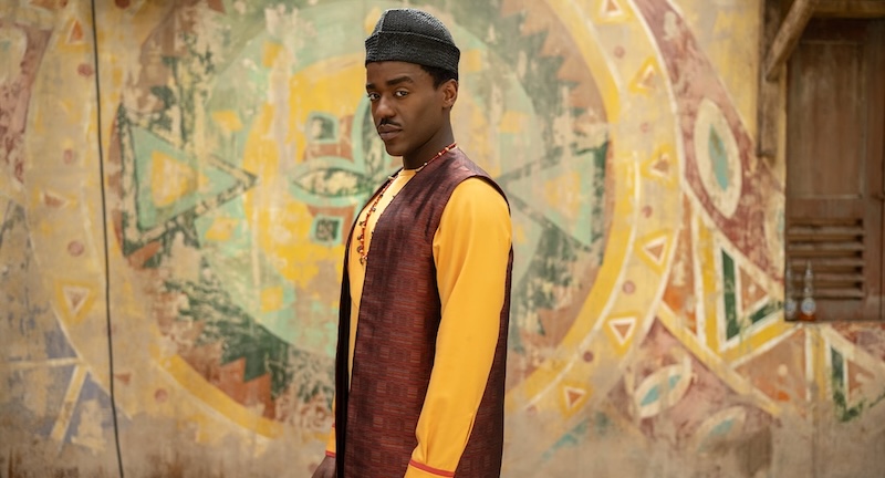 Doctor Who: The Story and the Engine: Ncuti Gatwa