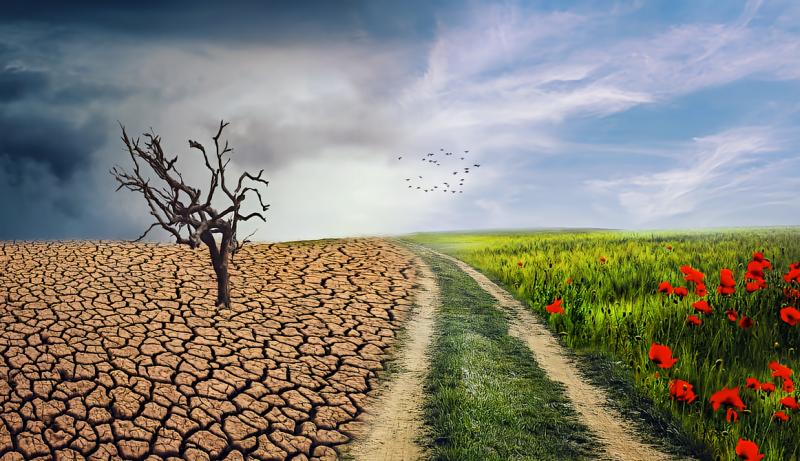 Klimaatverandering (@Pixabay) Klimaatverandering (@Pixabay)