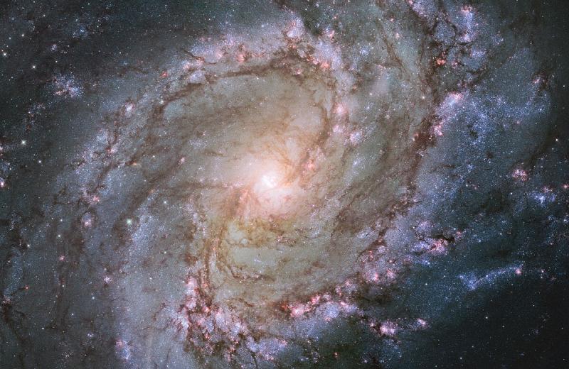 Heldere sterren en stof van het spiraalstelsel Messier 83 (@ Hubble-beeld ESA -WikimediaCommons) Heldere sterren en stof van het spiraalstelsel Messier 83 (@ Hubble-beeld ESA -WikimediaCommons)