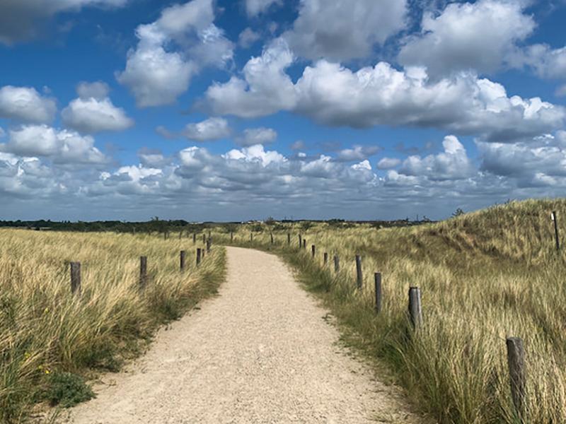 Magica maakte deze mooie foto van schapenwolken voor ons (@Magica) Magica maakte deze mooie foto van schapenwolken voor ons (@Magica)