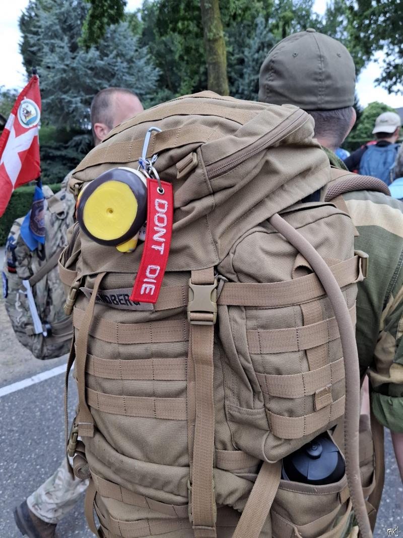 De 4 Daagse Nijmegen - Dag van Elst (Foto: qltel)