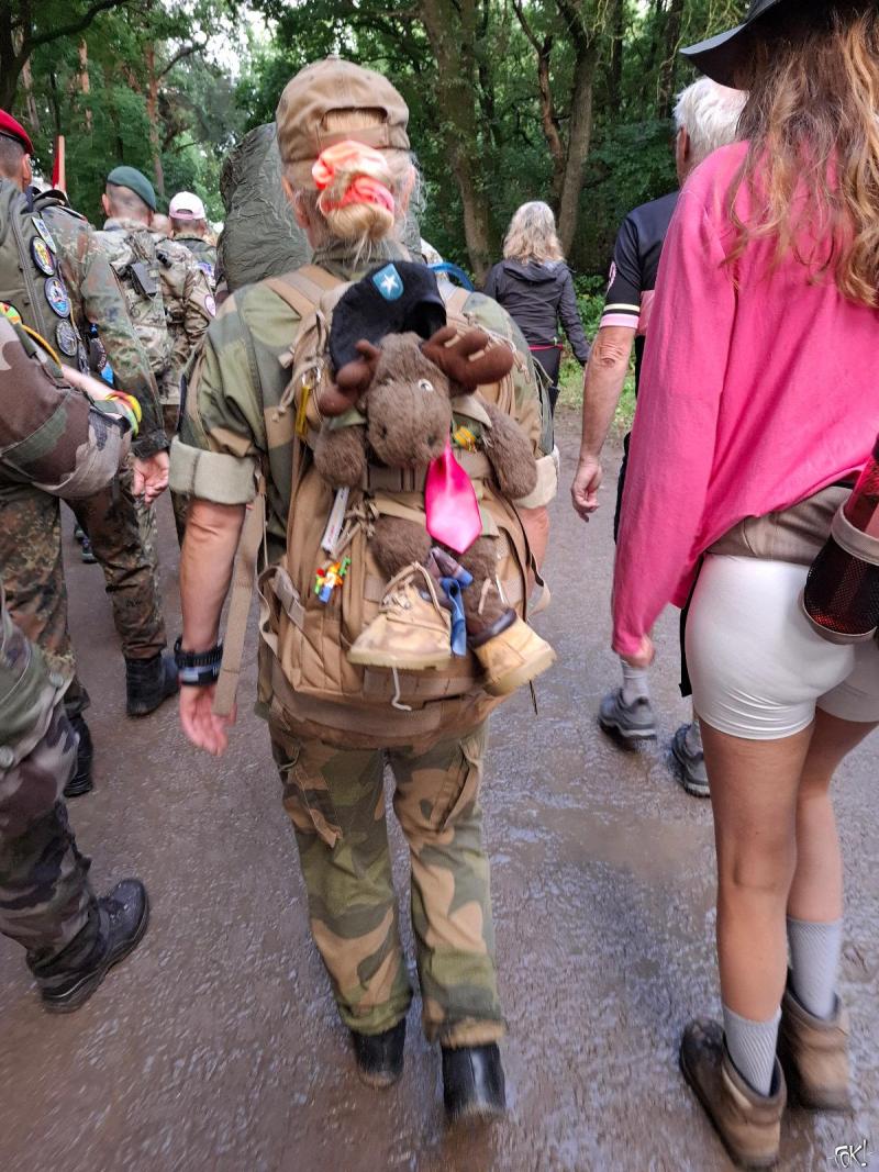 De 4 Daagse dag 2 -De dag van Wijchen - Roze woensdag 8 (Foto: qltel)