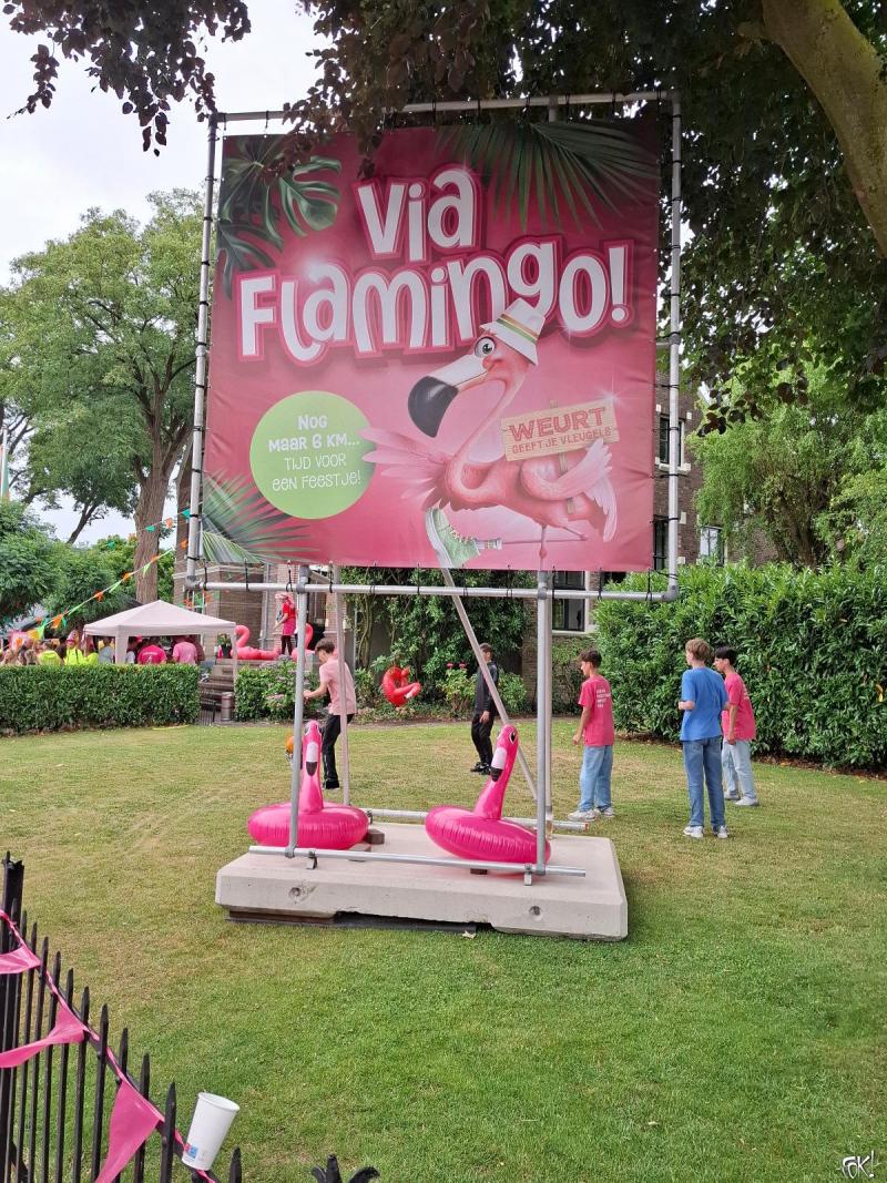 De 4 Daagse dag 2 -De dag van Wijchen - Roze woensdag 5 (Foto: qltel)