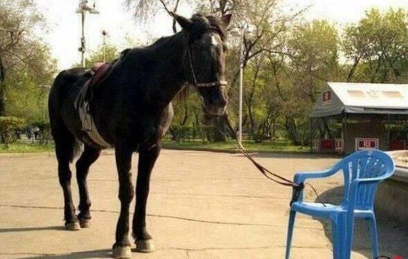 Random Pics van de Dag #1654