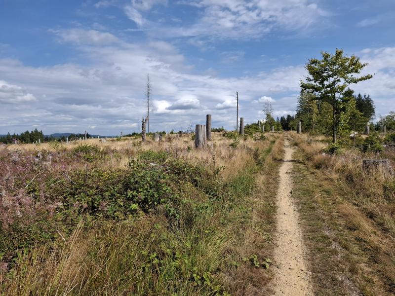 Droog landschap in het Sauerland (Foto: qtel)