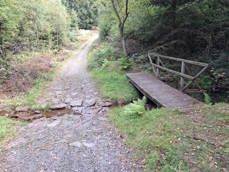 Wandelpaadje Sauerland (Foto: qltel)