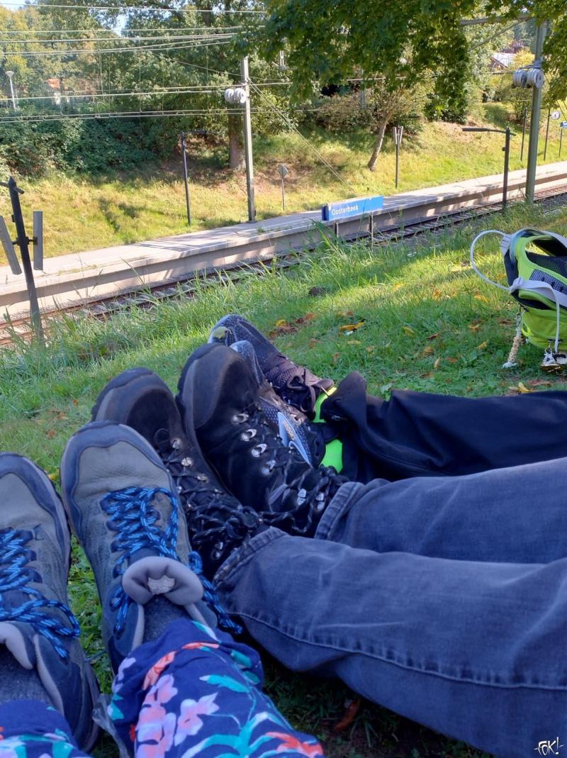 Sfeerimpressie Airborne Wandeltocht 2025 (Foto: FOK! / Sally)