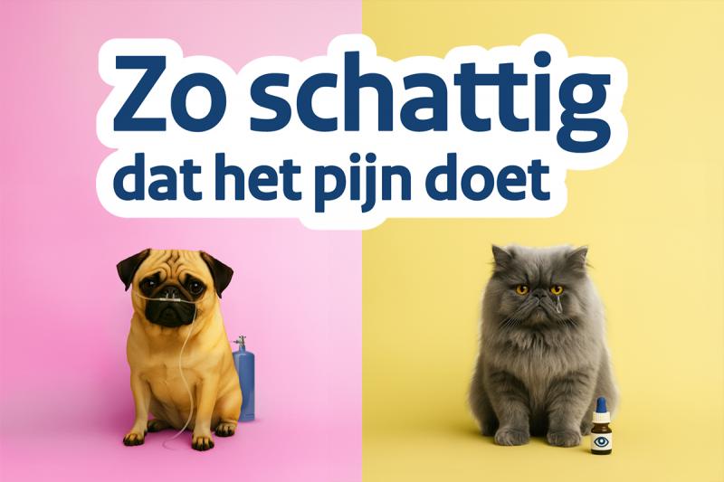 Zo schattig dat het pin doet - Campagne ministerie LVVN (@ Rijksoverheid)