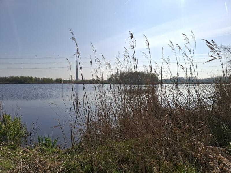 Jaarover1 (Foto: Stephan5)