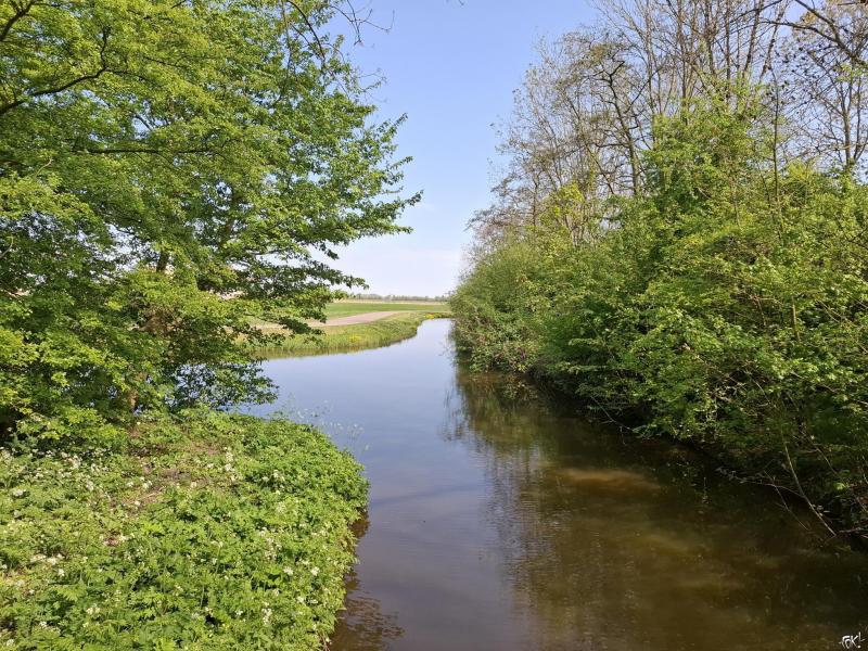 Jaarover2 (Foto: Stephan5)