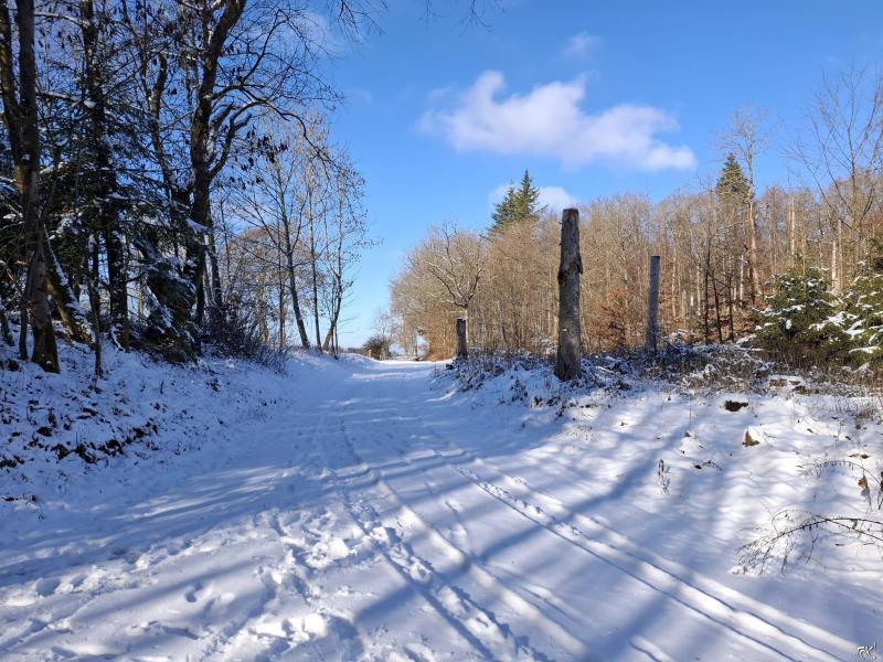 Sauer5 (Foto: qltel) Sauer5 (Foto: qltel)