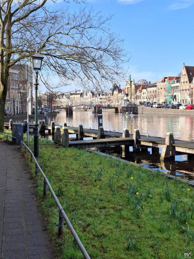 Lente komt (Foto: Stephan5) Lente komt (Foto: Stephan5)