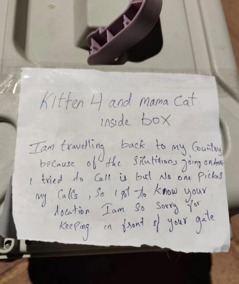 UAE Animal Community