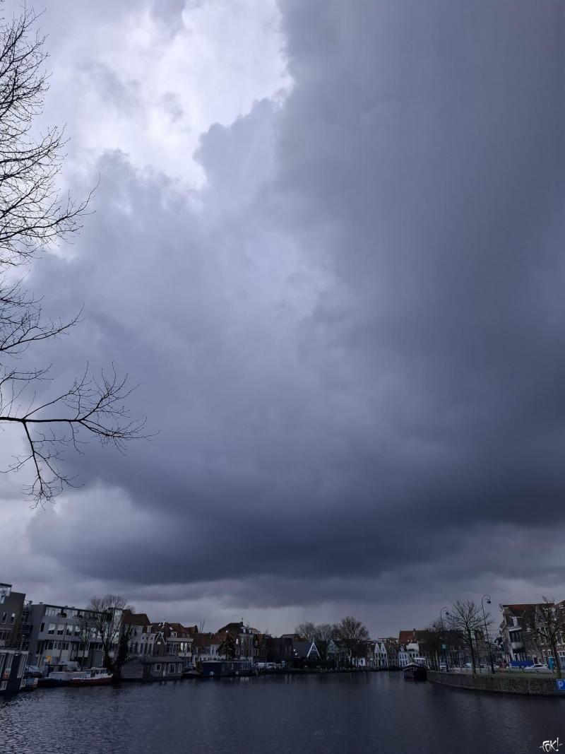 Zwarebui (Foto: Stephan5)