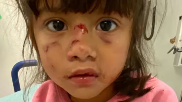 Amelia Perez (3) - Afbeelding: GoFundMe