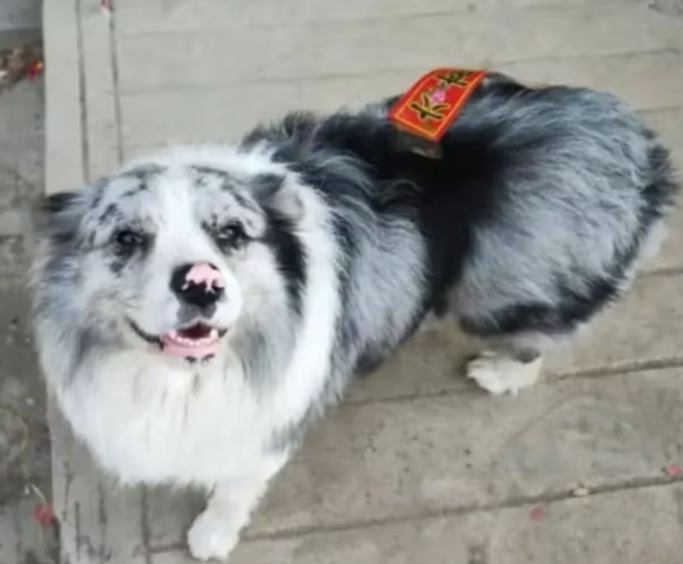 Chutou (foto: YouTube)